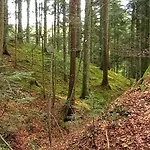 Fuchs Lägenhet
