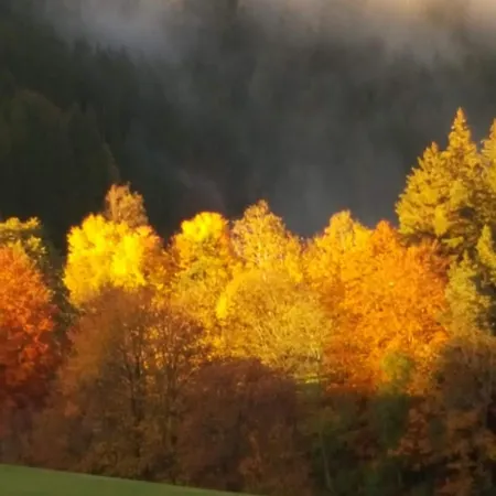 Fuchs * Lauterbach (Baden-Wurttemberg)