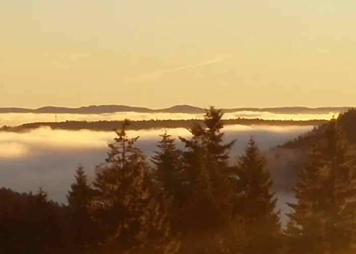 Fuchs 公寓 劳特尔巴赫